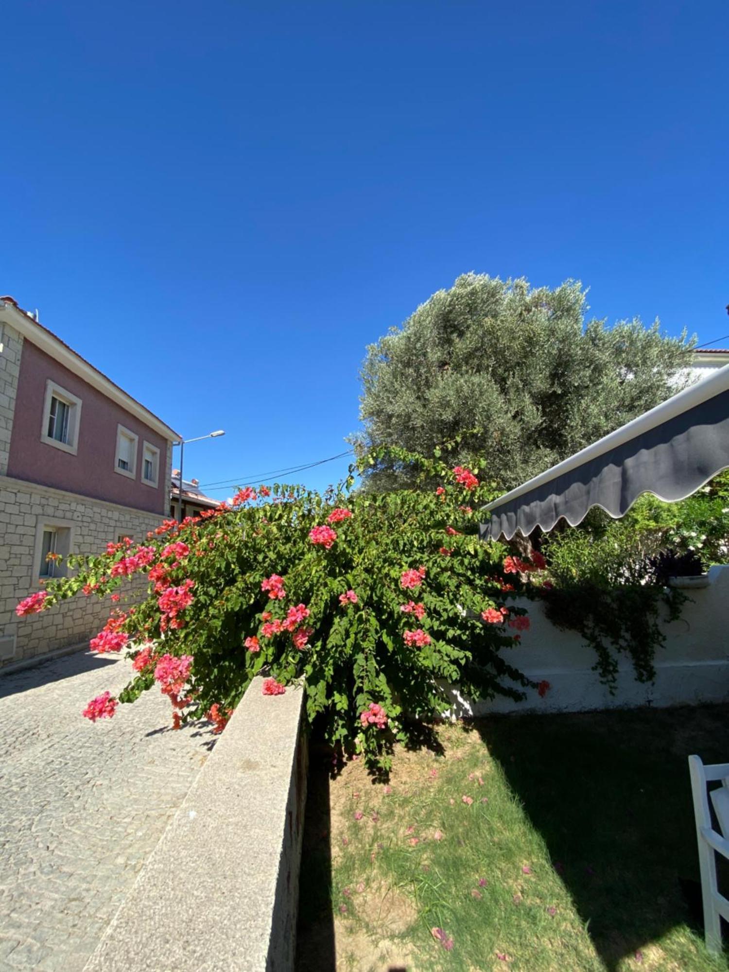 Çakir Bey Hotel Alaçatı Extérieur photo